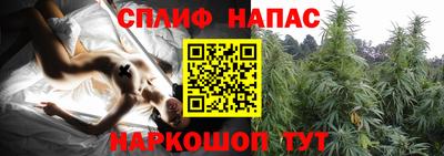 гашик Котовск