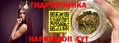 гашик Котовск