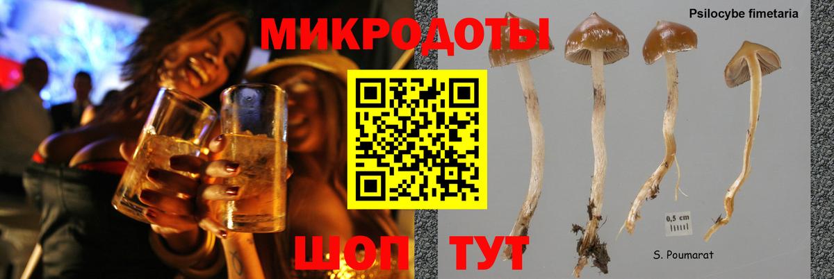 Реутов  сколько стоит  Галлюциногенные грибы прущие грибы  Вход с VPN  Псилоцибиновые грибы Magic Shrooms 